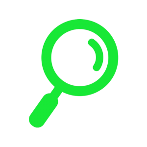 Investigation & Audit